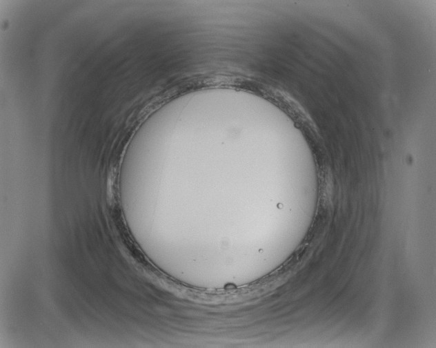 X0000084050026200702160936