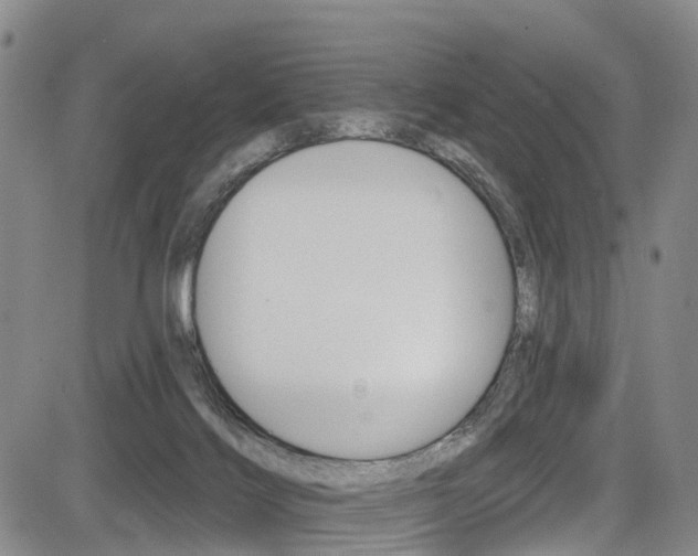 X0000084050028200702160936