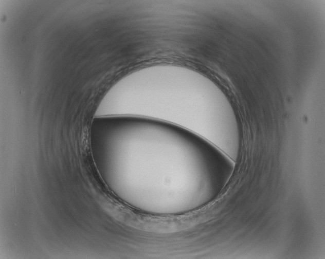 X0000084050029200702160936