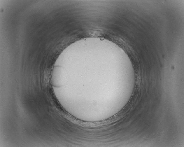 X0000084050030200702160936