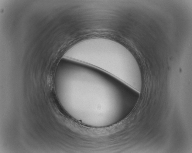 X0000084050031200702160936