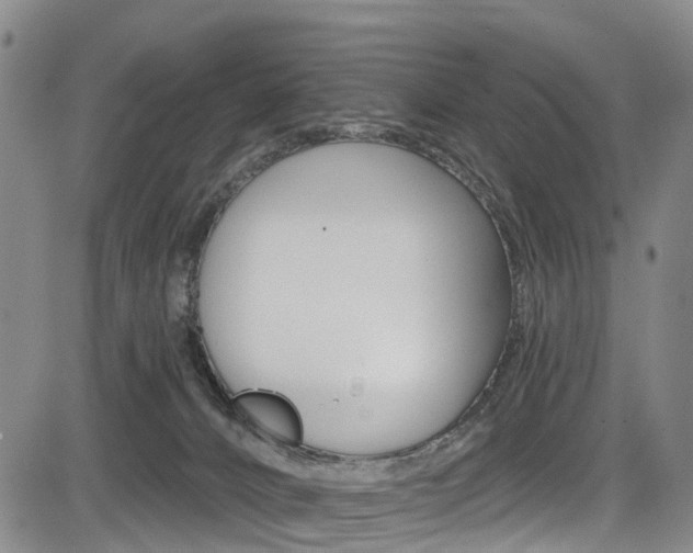 X0000084050032200702160936