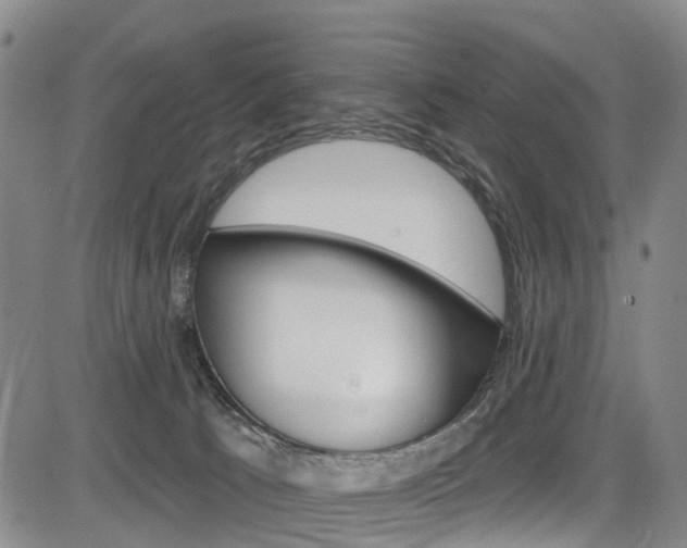 X0000084050033200702160936