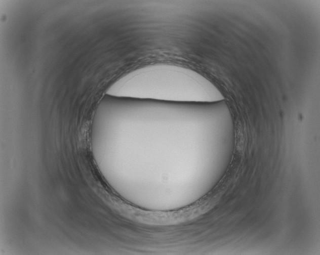 X0000084050034200702160936