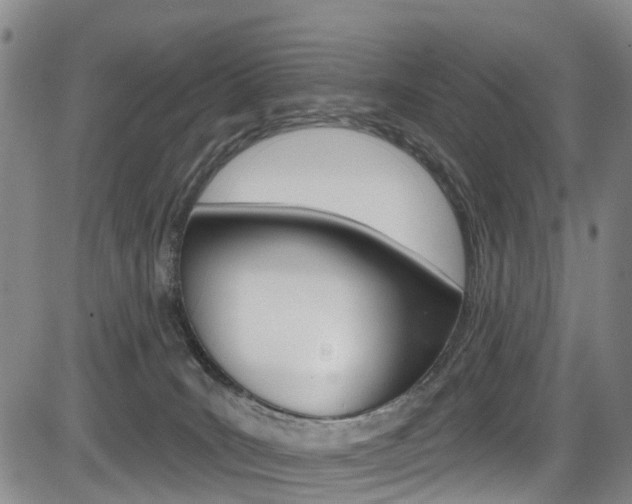 X0000084050035200702160936