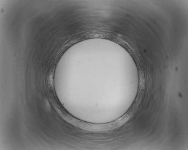 X0000084050036200702160936