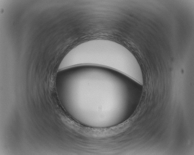 X0000084050037200702160936