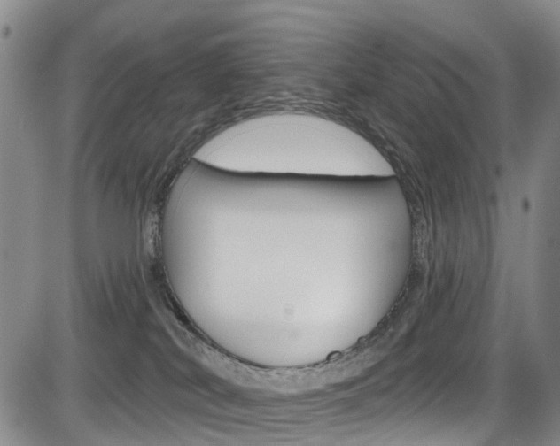 X0000084050038200702160936