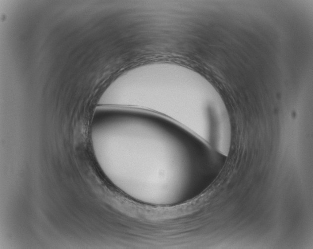 X0000084050039200702160936