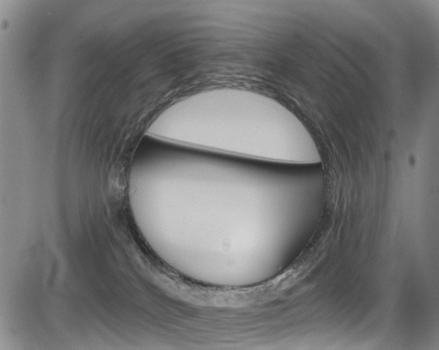 X0000084050040200702160936