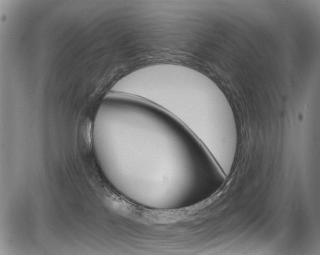 X0000084050041200702160936