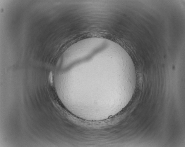 X0000084050042200702160936