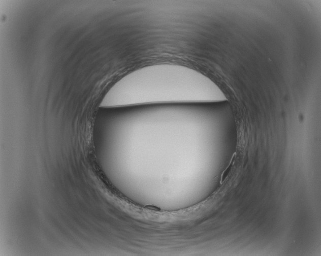 X0000084050043200702160936