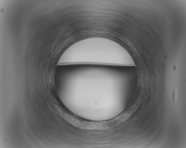 X0000084050044200702160936