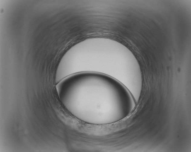 X0000084050045200702160936