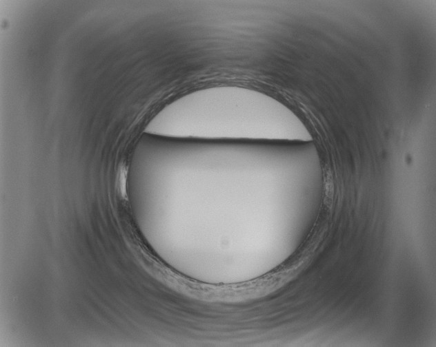 X0000084050046200702160936