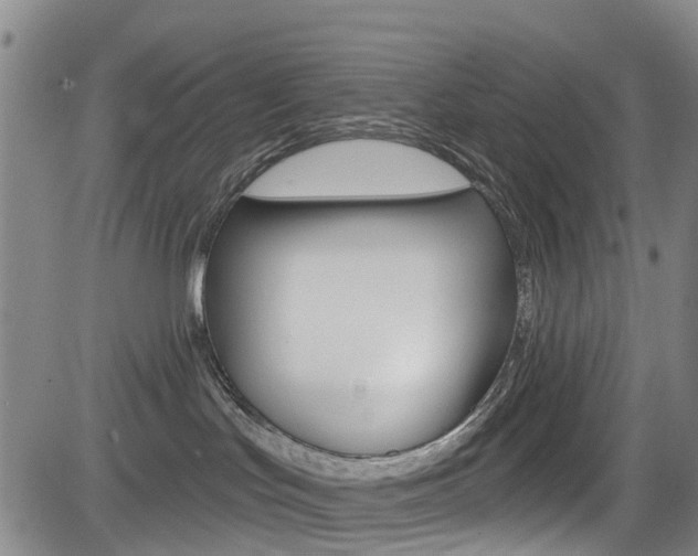 X0000084050047200702160936