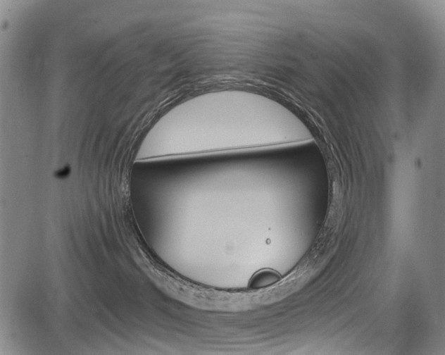 X0000084050048200702160936