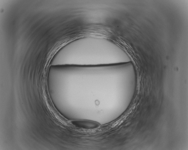 X0000084050049200702160935