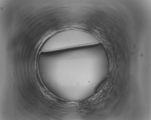 X0000084050050200702160935