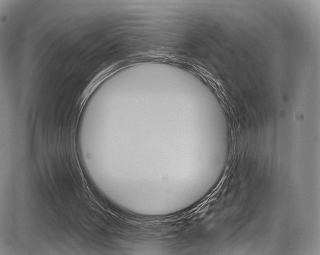 X0000084050051200702160935