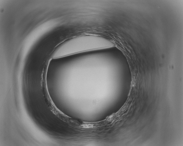 X0000084050052200702160935