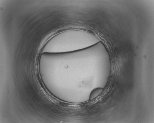 X0000084050053200702160935