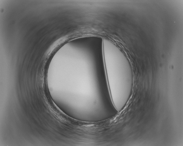 X0000084050054200702160935