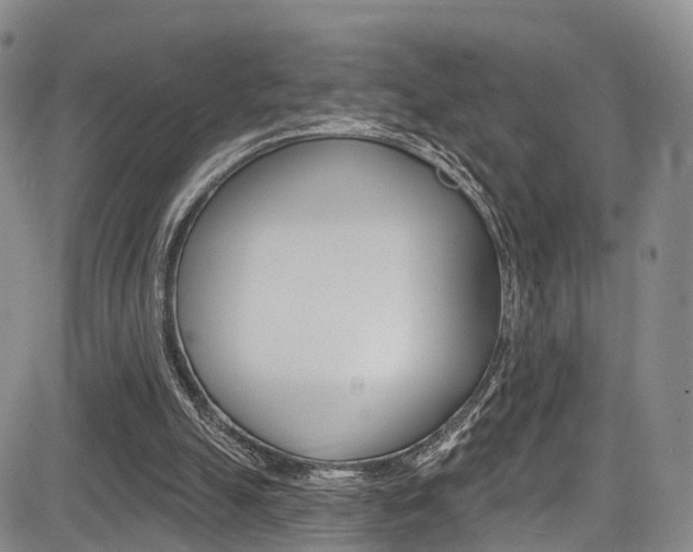 X0000084050055200702160935