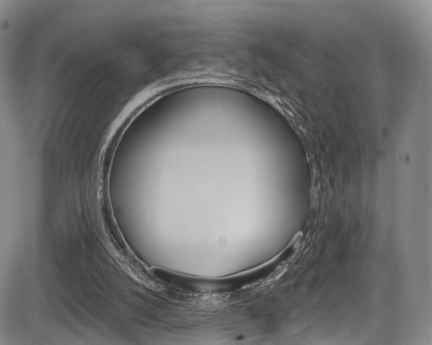 X0000084050056200702160935