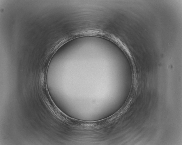 X0000084050057200702160935