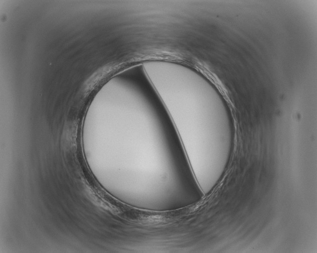 X0000084050058200702160935