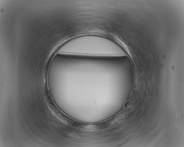 X0000084050059200702160935