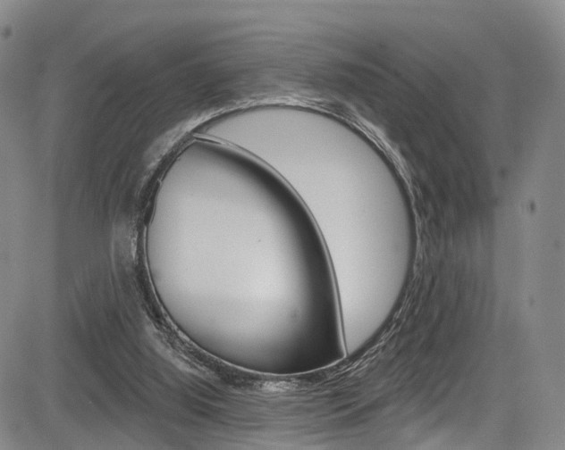 X0000084050060200702160935