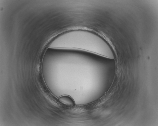 X0000084050063200702160935