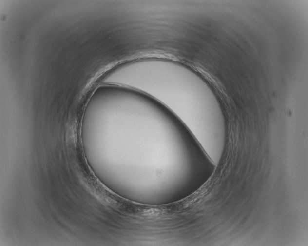 X0000084050064200702160935