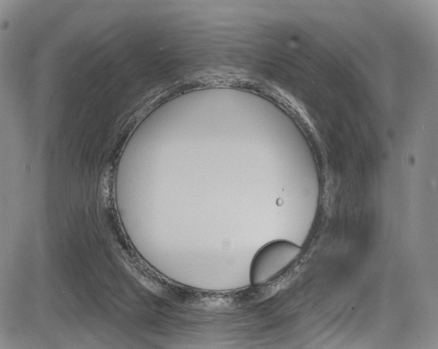 X0000084050065200702160935