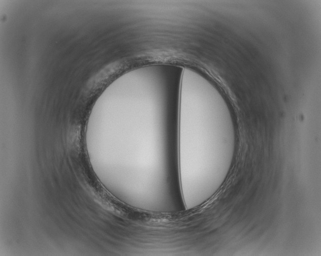 X0000084050066200702160935