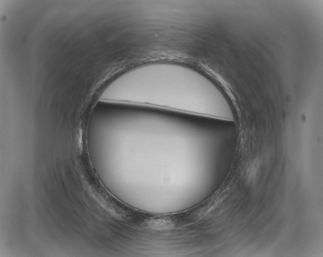 X0000084050067200702160935