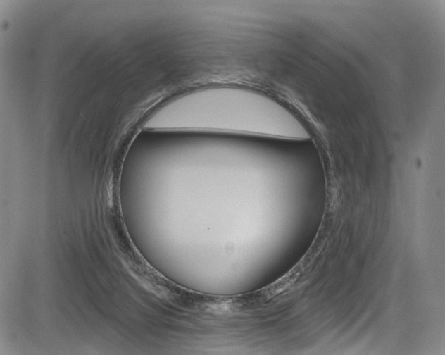 X0000084050068200702160935