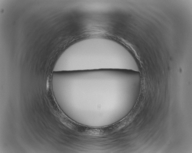 X0000084050069200702160935