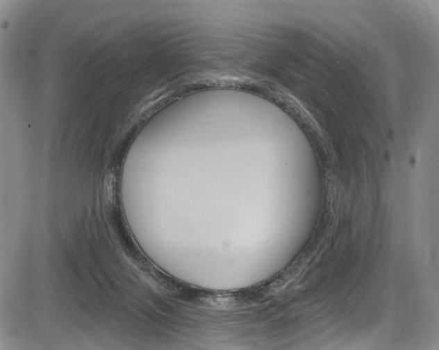 X0000084050071200702160935