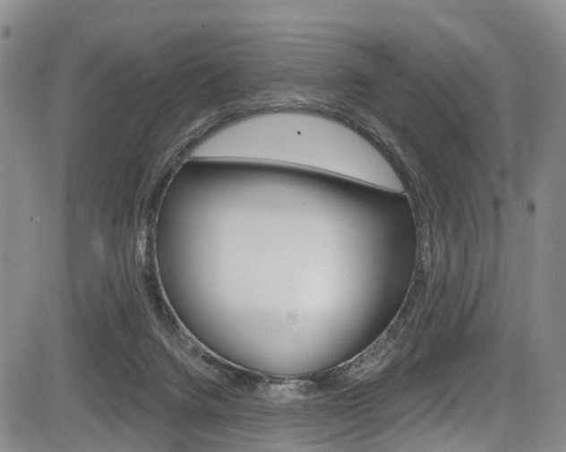 X0000084050072200702160935