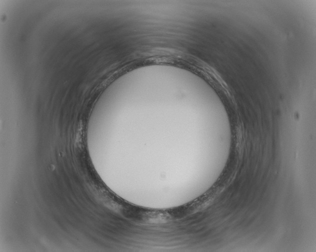 X0000084050073200702160935