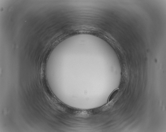 X0000084050074200702160935