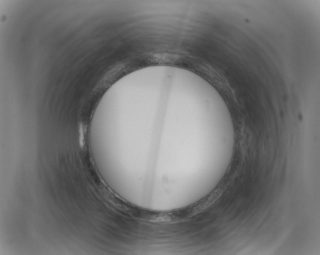 X0000084050075200702160935