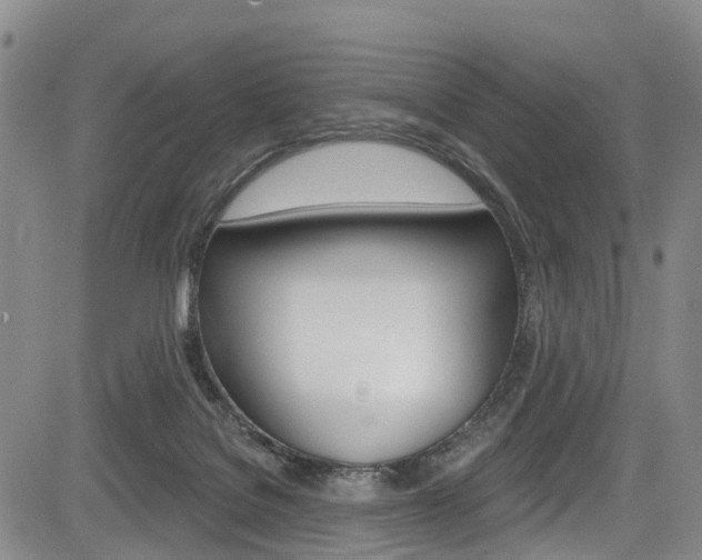 X0000084050076200702160935