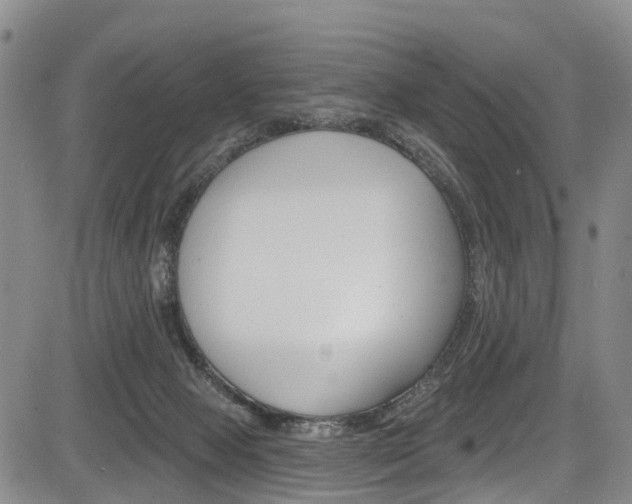 X0000084050077200702160935