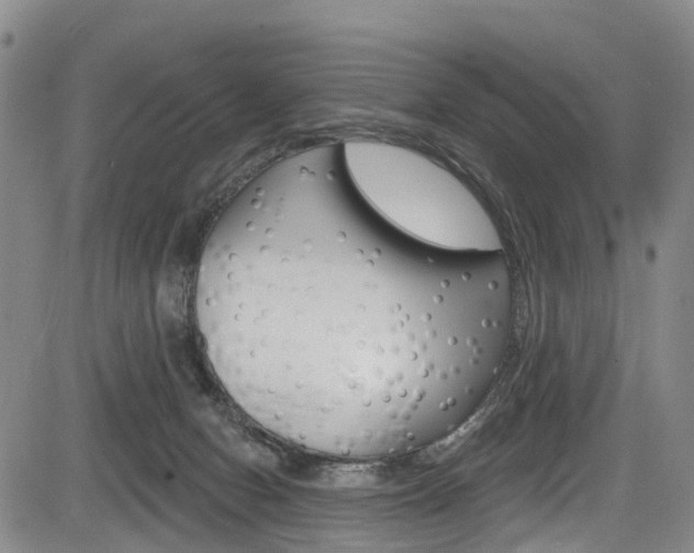 X0000084050078200702160935