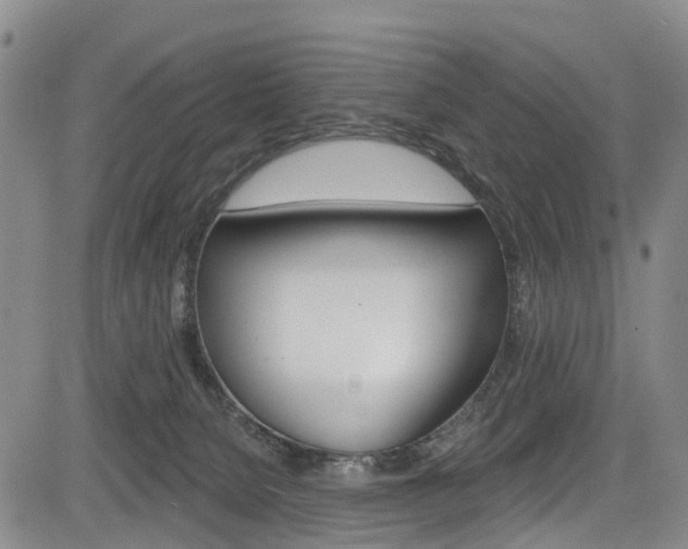 X0000084050080200702160935